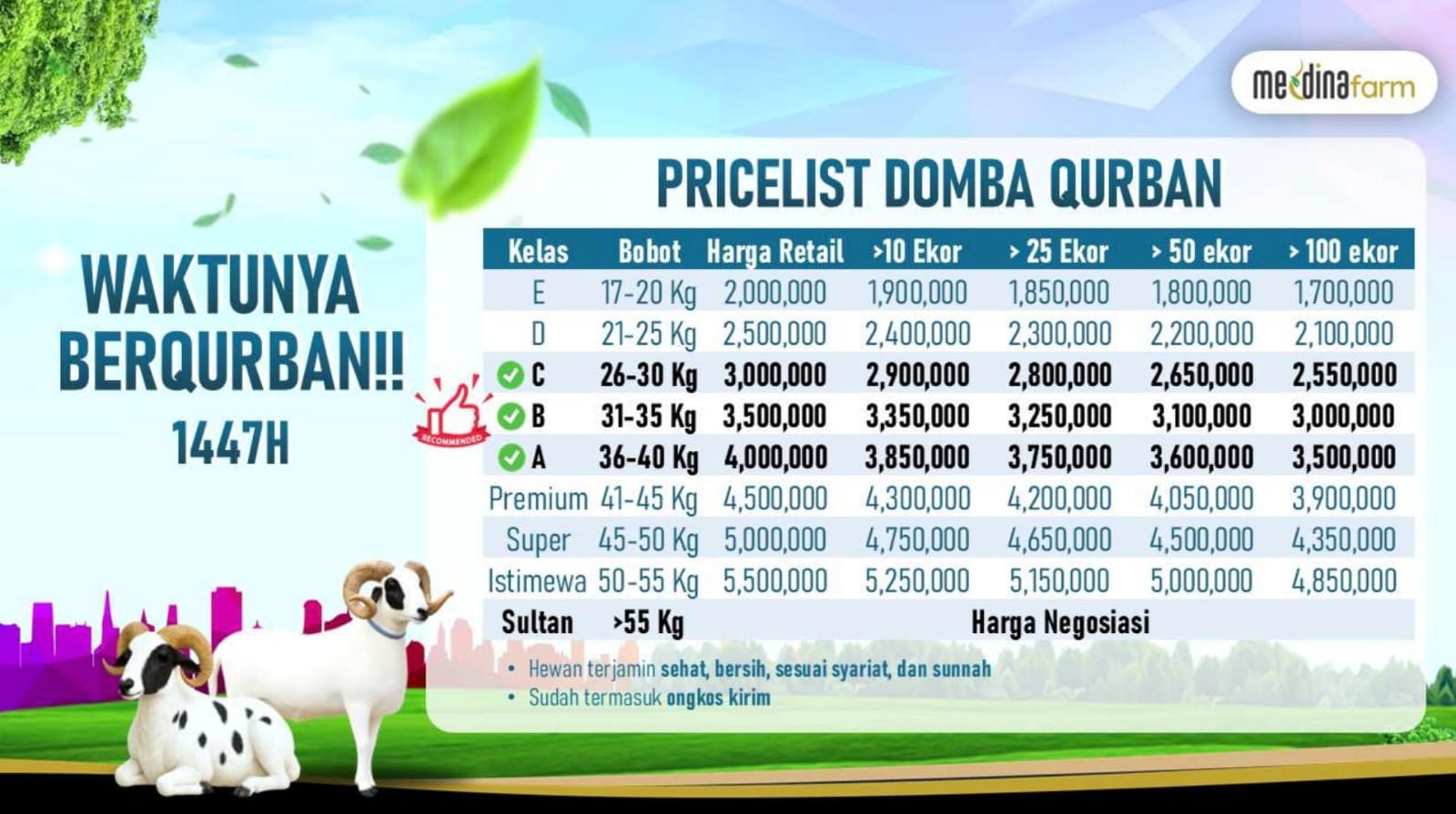 Domba Qurban 1447H